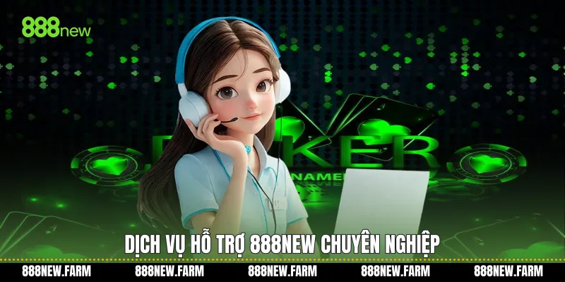 Dịch vụ hỗ trợ 888new chuyên nghiệp