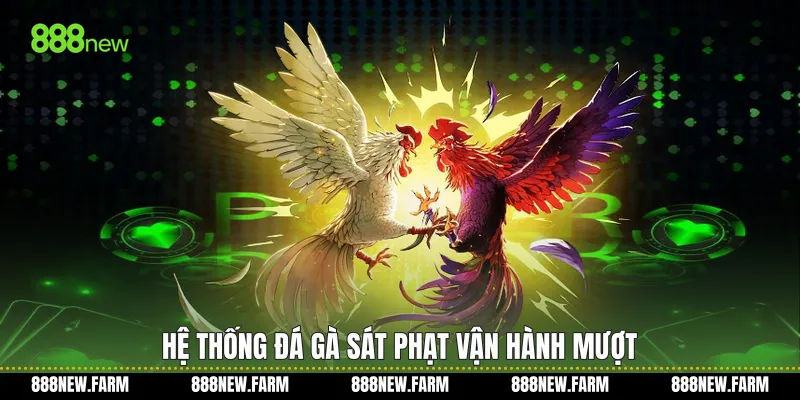 Hệ thống Đá gà sát phạt vận hành mượt