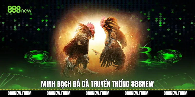 Minh bạch Đá gà truyền thống 888new