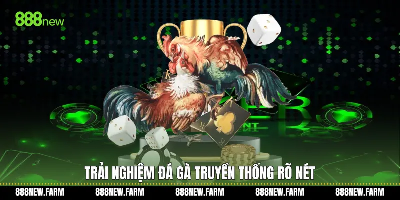Trải nghiệm Đá gà truyền thống rõ nét
